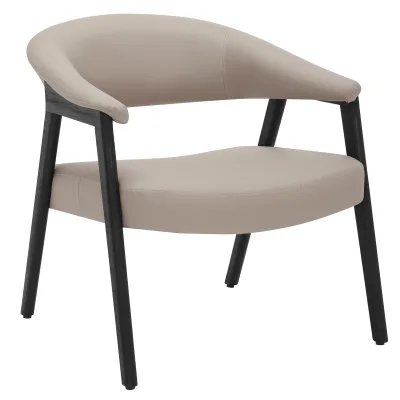 Accent Chair-037