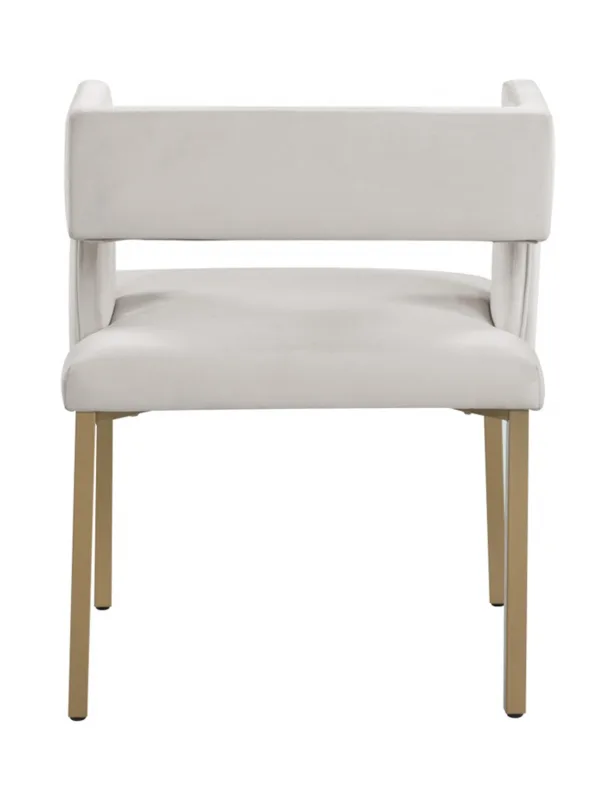Dining Chair-097 image 4