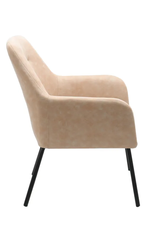 Dining Chair-127 image 2
