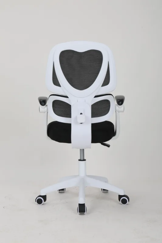 Office Chair-024 image 4