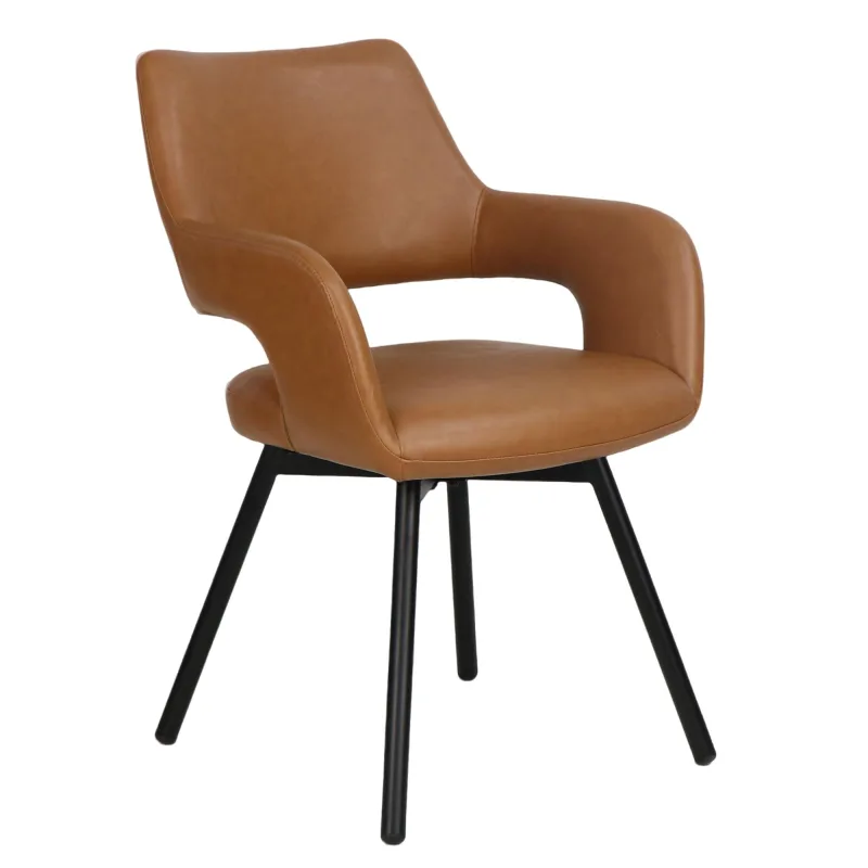 Dining Chair-208