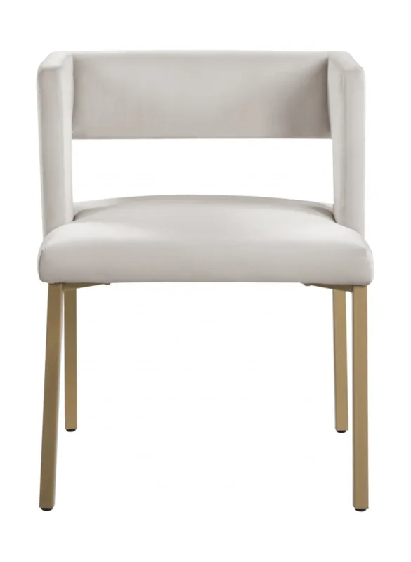 Dining Chair-097 image 3