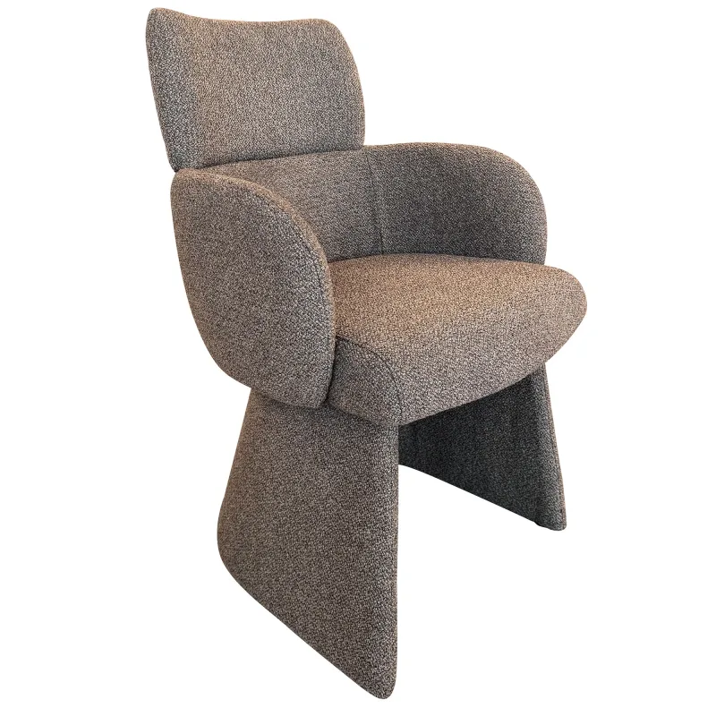Dining Chair-216