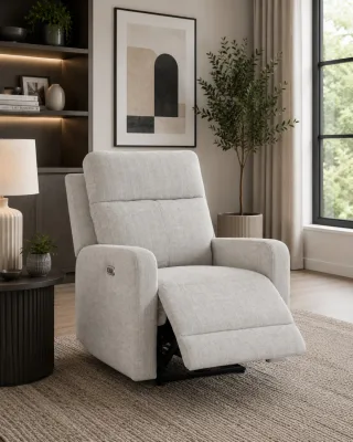 Recliner Chair-100