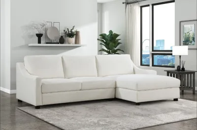 Sectional-090