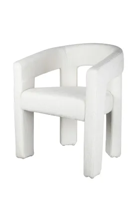 Dining Chair-125