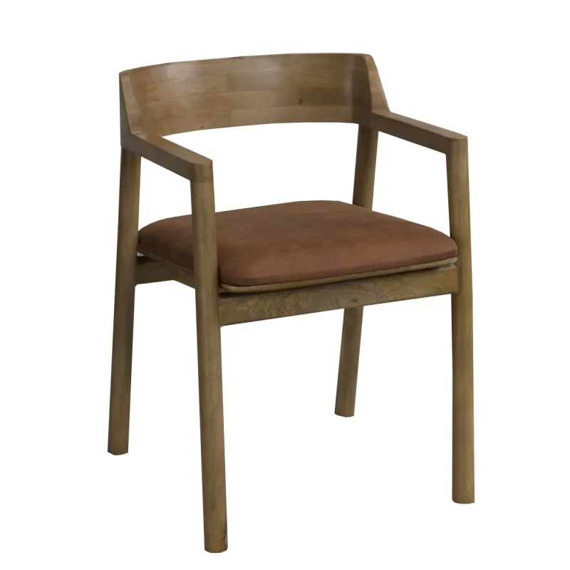 Dining Chair-103