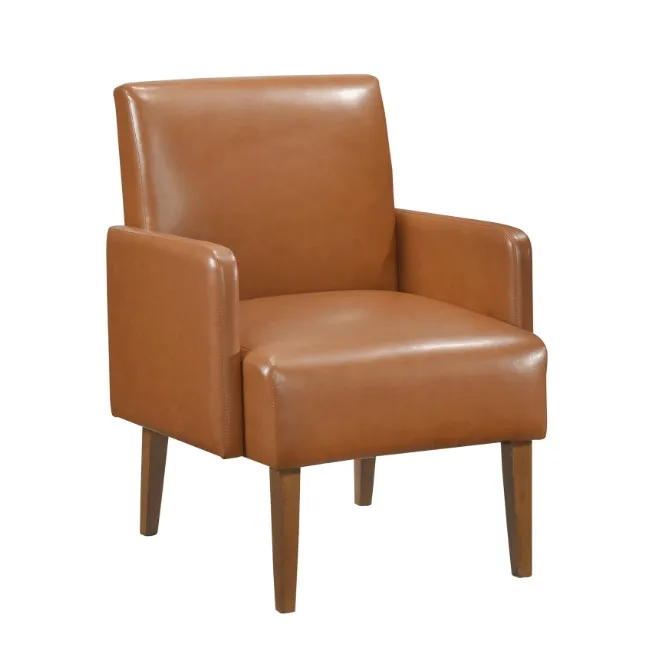 Accent Chair-242