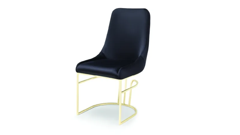 Dining Chair-037