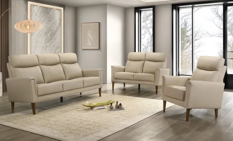 Sofa Set-045