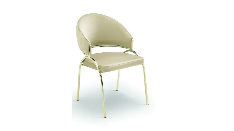 Dining Chair-040