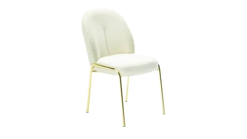 Dining Chair-046